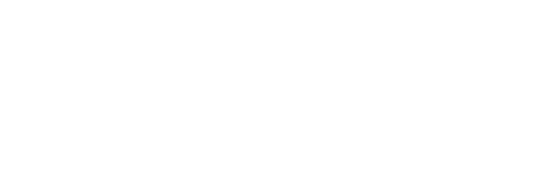 THE SKY’S THE LIMIT: Georgia World Congress Logo White